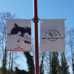 Imagen de WhatsApp 2024-10-02 a las 17.13.04_1b9cbbb0